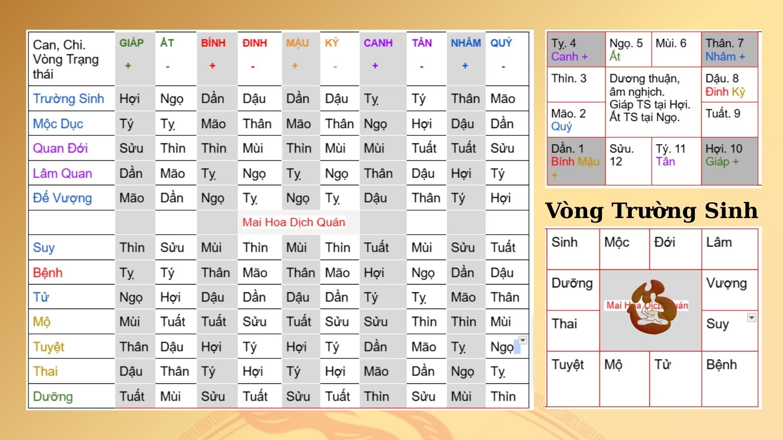 BÀI 06: VÒNG TRƯỚNG SINH TRONG BÁT TỰ