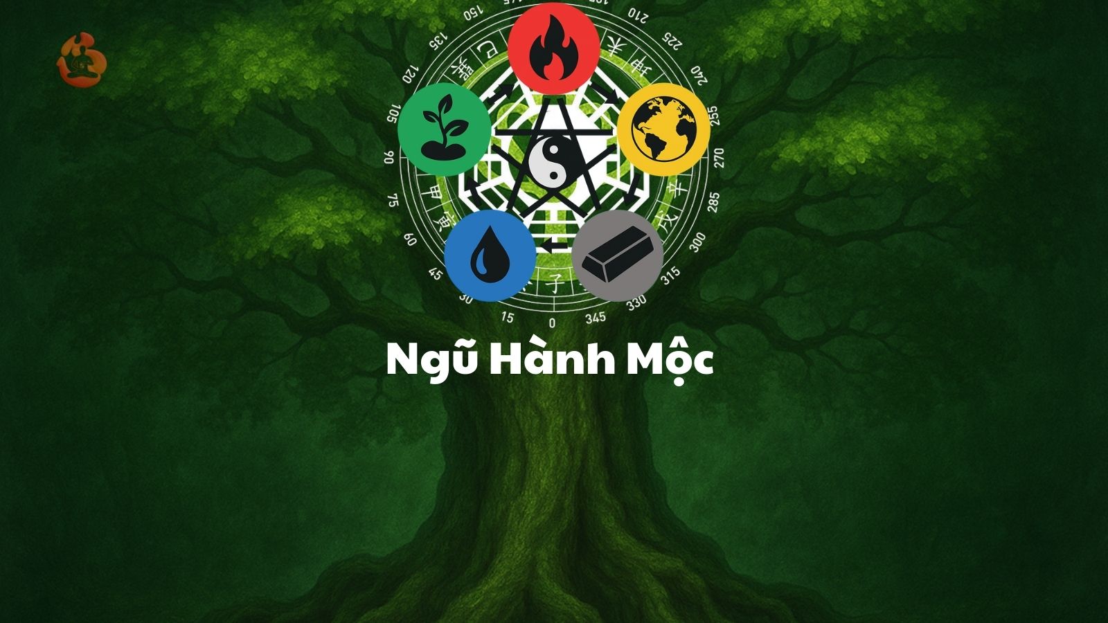 Giải Mã Ngũ Hành Mộc